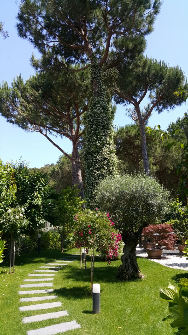 Апартаменты на Льорет-де-Мар, Испания, 80 м² - фото 5