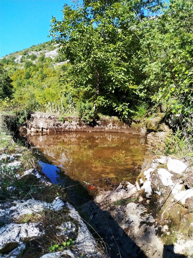 Дом на Скадарском озере, Черногория, 210 м² - фото 5