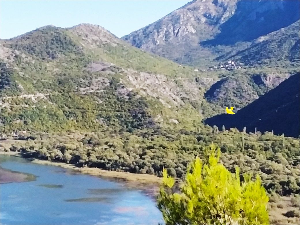 Дом на Скадарском озере, Черногория, 210 м² - фото 6