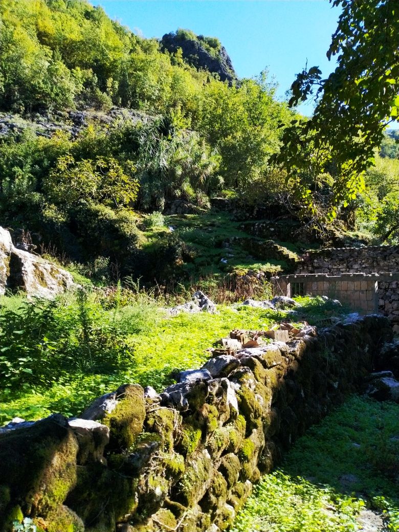 Дом на Скадарском озере, Черногория, 210 м² - фото 8