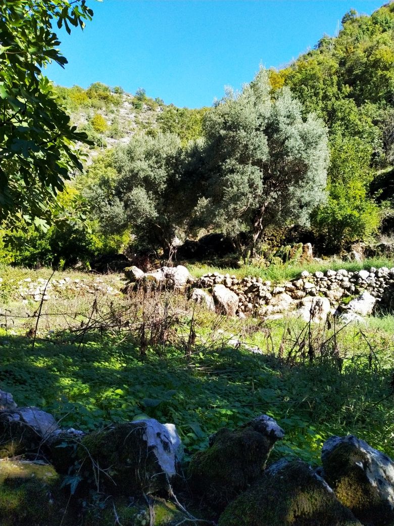 Дом на Скадарском озере, Черногория, 210 м² - фото 9