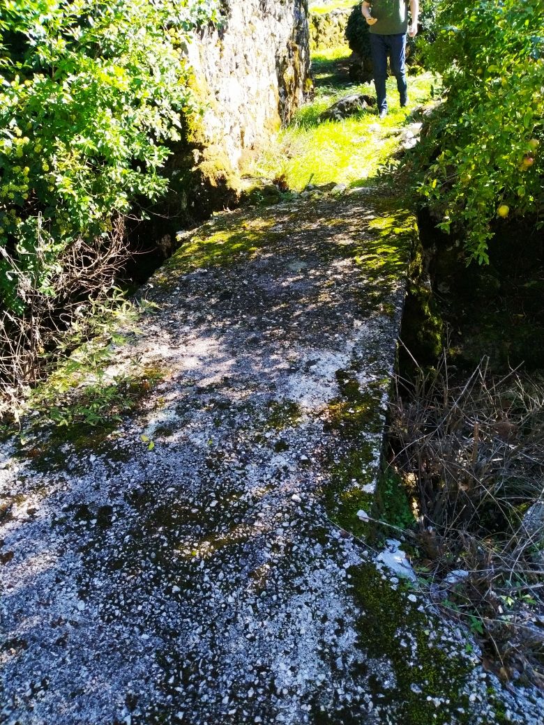 Дом на Скадарском озере, Черногория, 210 м² - фото 10