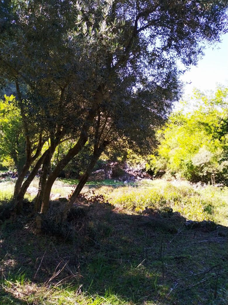 Дом на Скадарском озере, Черногория, 210 м² - фото 14