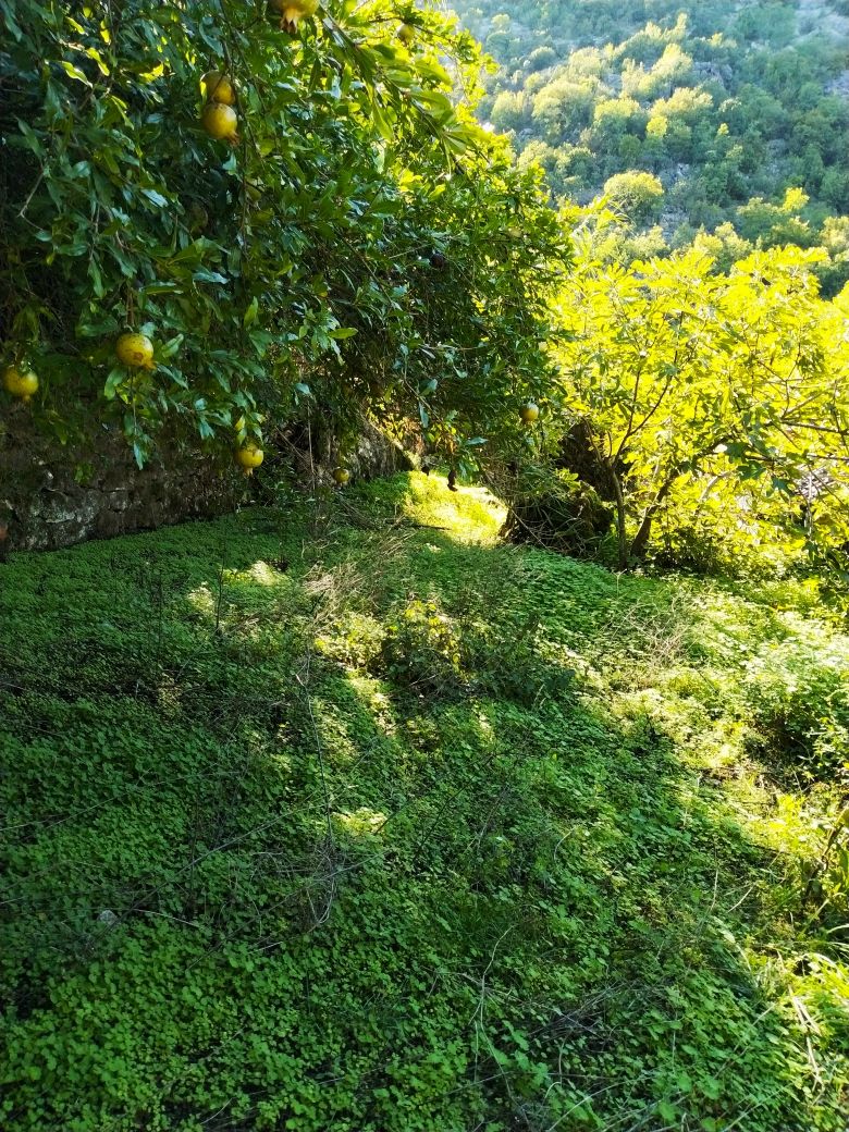 Дом на Скадарском озере, Черногория, 210 м² - фото 15