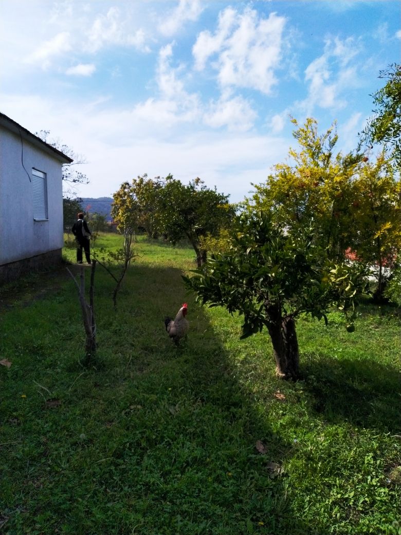 Дом в Баре, Черногория, 140 м² - фото 2