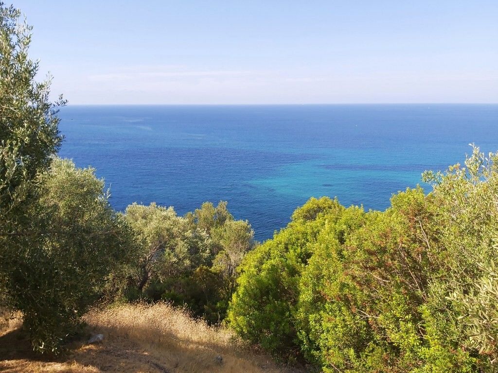 Земля на Корфу, Греция, 8 600 м2 - фото 1
