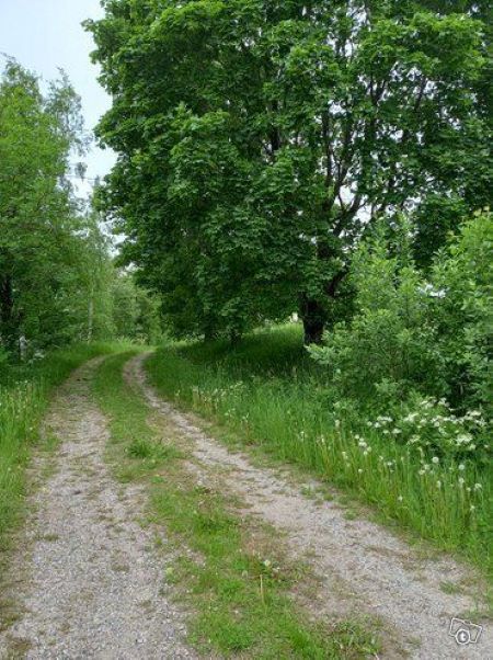 Дом в Круунупюю, Финляндия, 135 м² - фото 7