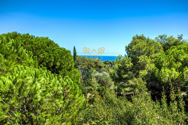 Дом на Коста-дель-Маресме, Испания, 454 м² - фото 13