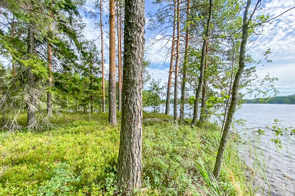 Земля в Руоколахти, Финляндия, 1.51 Га - фото 3