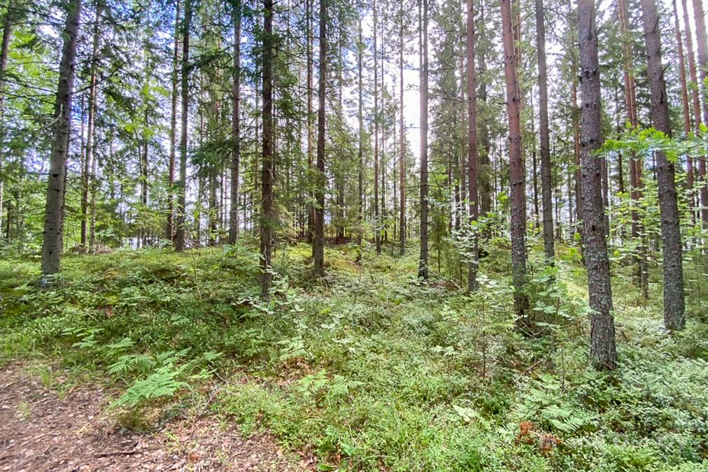 Земля в Руоколахти, Финляндия, 1.51 Га - фото 5