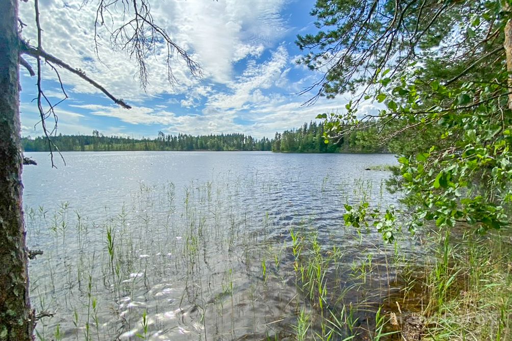 Земля в Руоколахти, Финляндия, 1.51 Га - фото 8