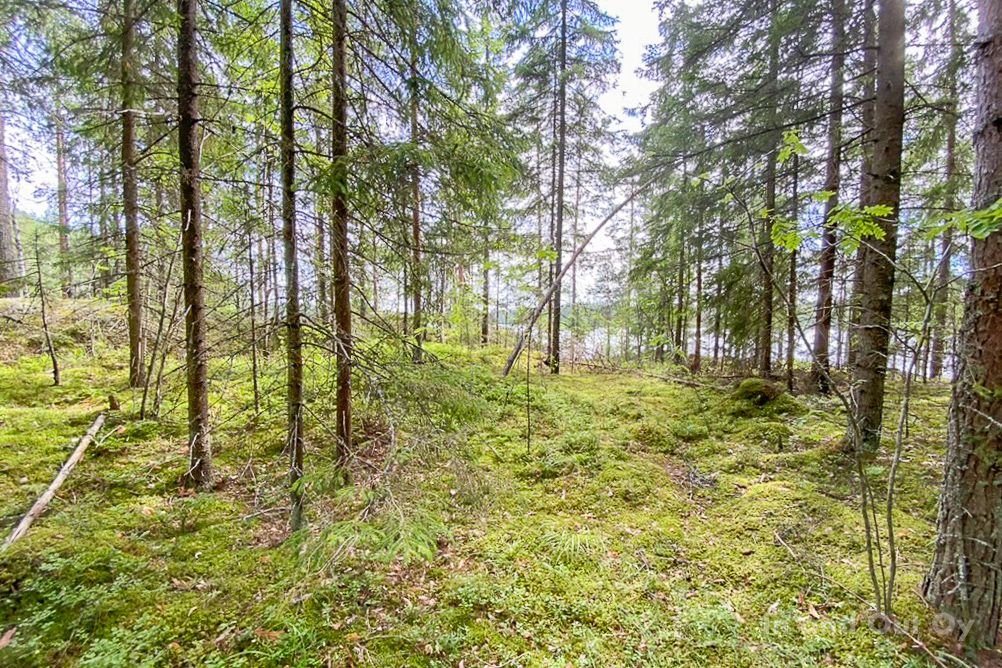 Земля в Руоколахти, Финляндия, 1.51 Га - фото 7