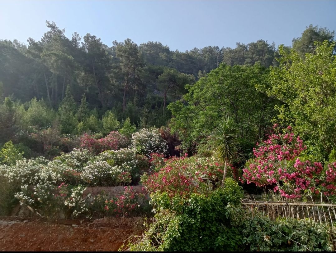 Квартира в Фетхие, Турция, 65 м² - фото 2