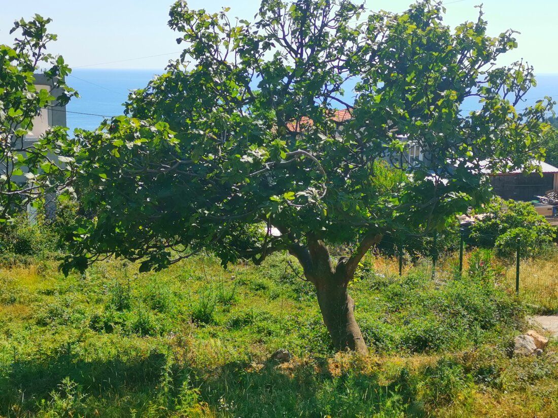 Земля в Шушани, Черногория, 850 м2 - фото 1
