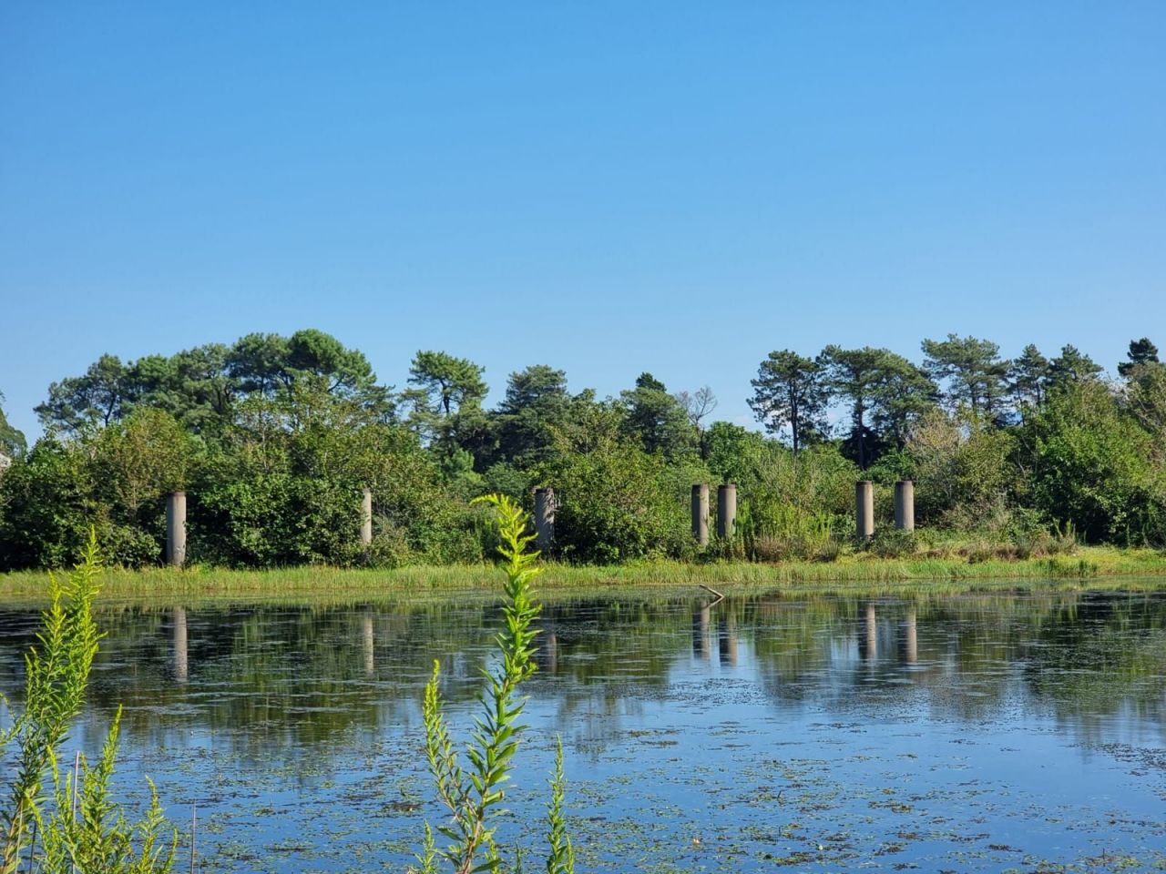 Земля в Батуми, Грузия, 112 256 м² - фото 9