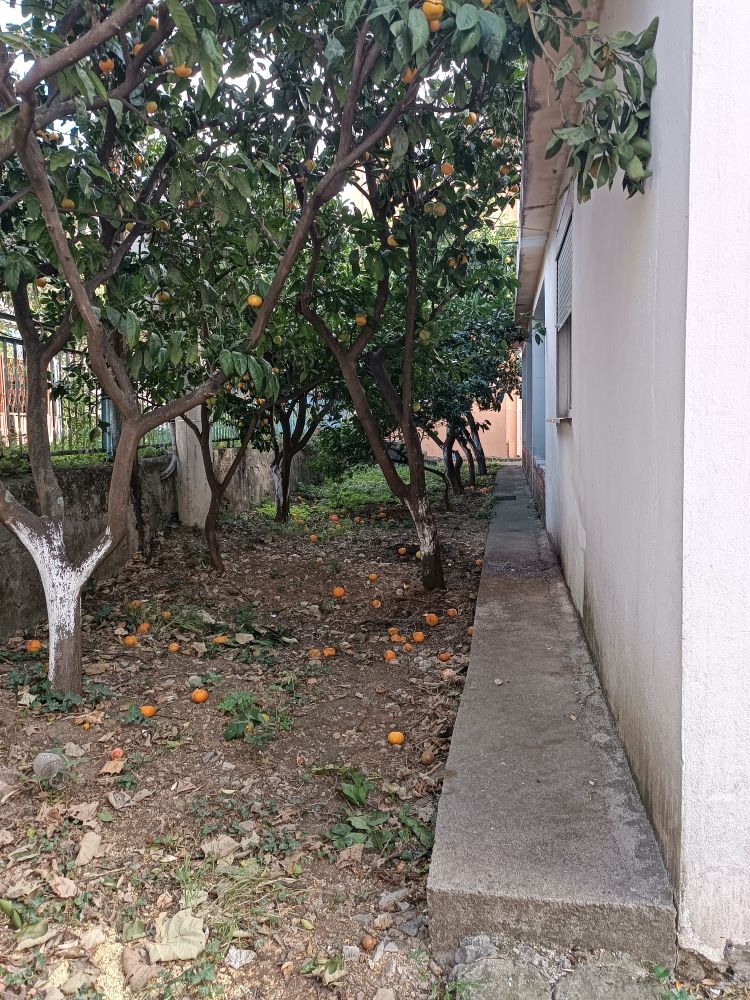 Дом в Сутоморе, Черногория, 170 м² - фото 15