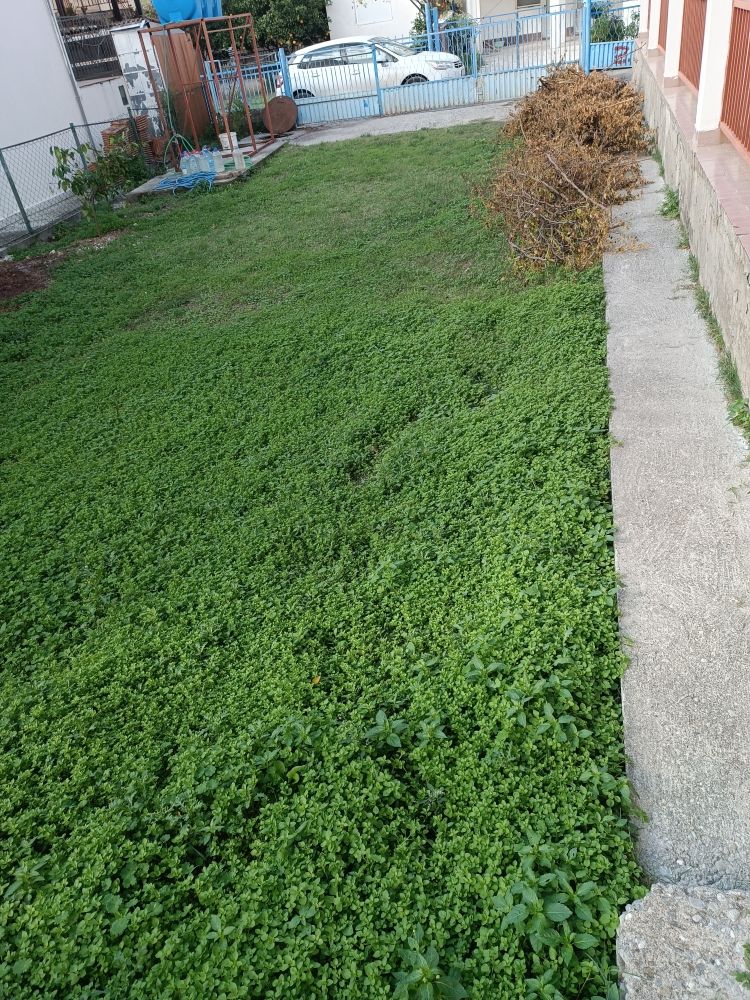 Дом в Сутоморе, Черногория, 170 м² - фото 16