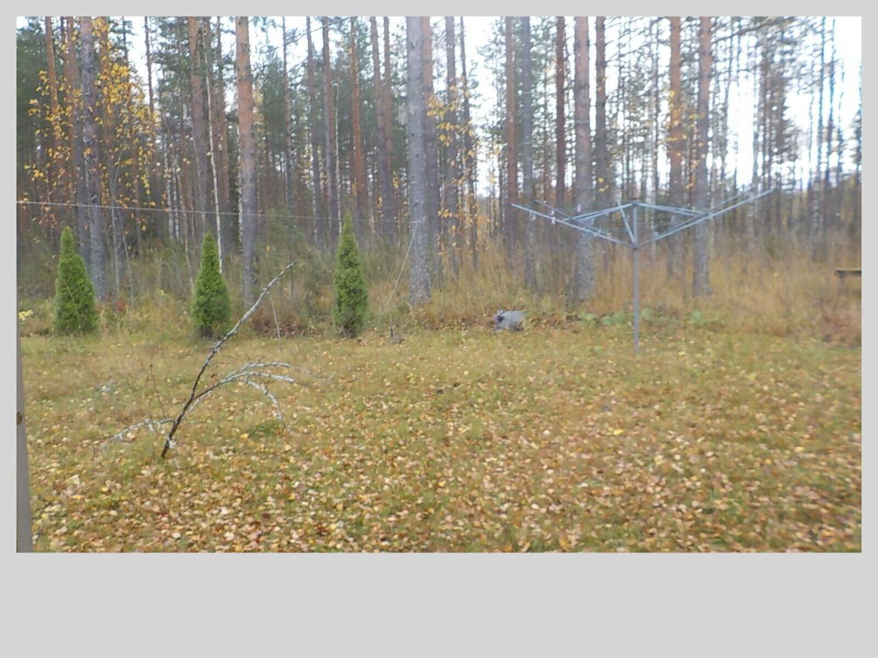 Таунхаус в Китее, Финляндия, 46 м² - фото 6