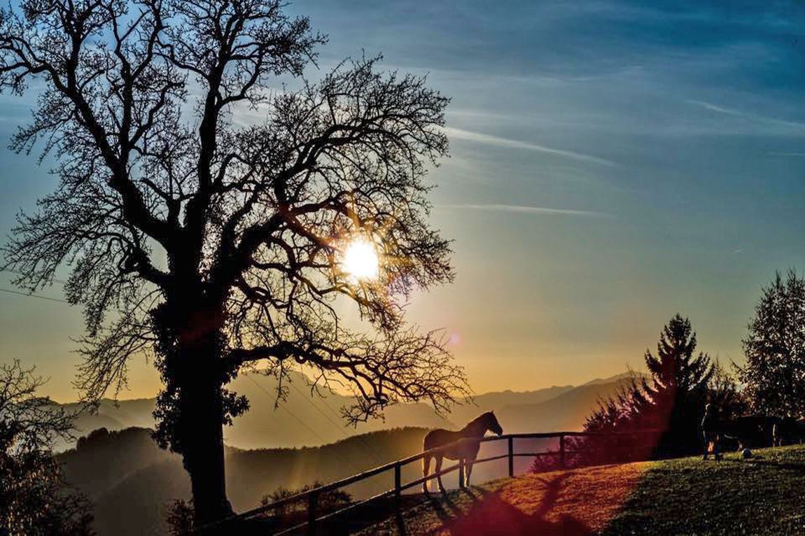 Отель, гостиница в Лашко, Словения, 614 м² - фото 9