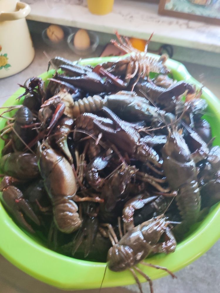 Земля в Никшиче, Черногория, 1 330 м² - фото 17