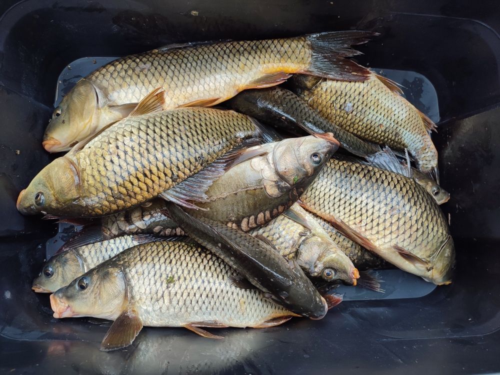 Земля в Никшиче, Черногория, 1 330 м² - фото 15