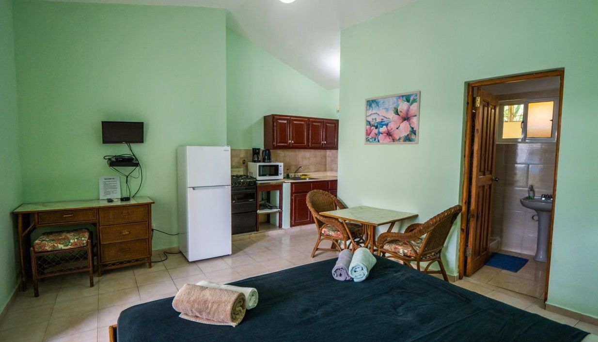 Квартира в Сосуа, Доминиканская Республика, 51 м² - фото 8