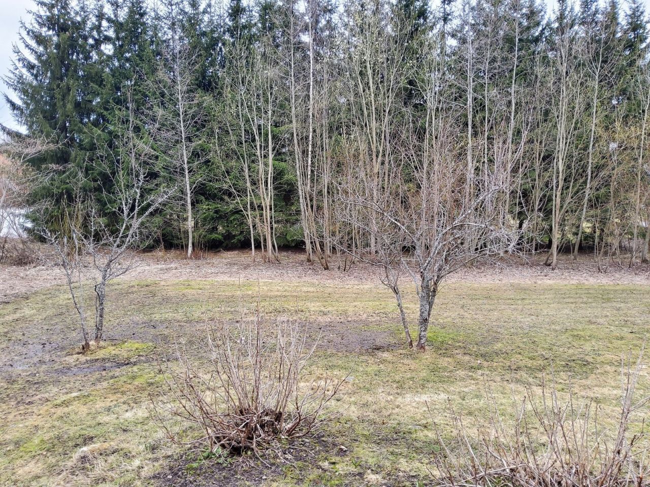 Таунхаус в Пуумала, Финляндия, 51.5 м² - фото 8