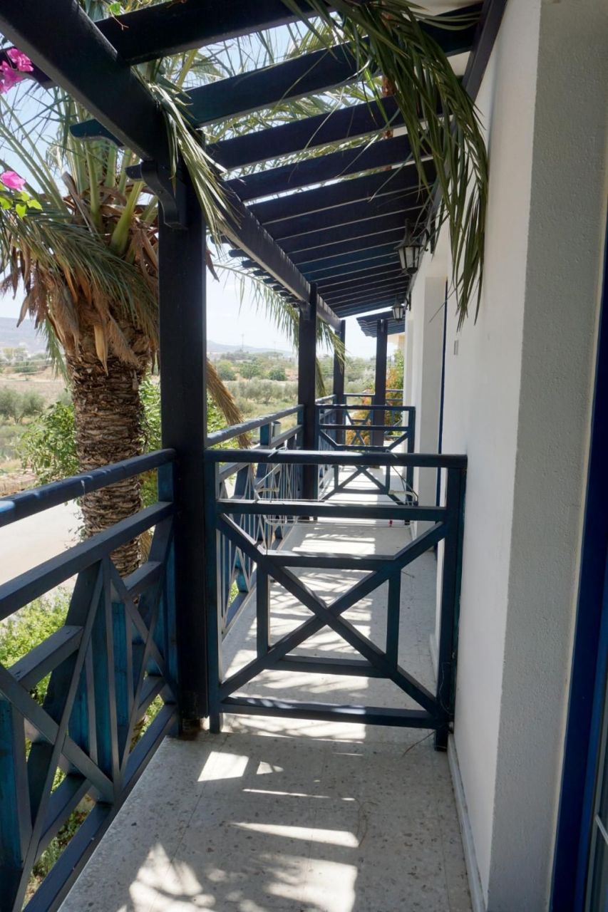 Отель, гостиница в Полисе, Кипр, 998 м² - фото 3