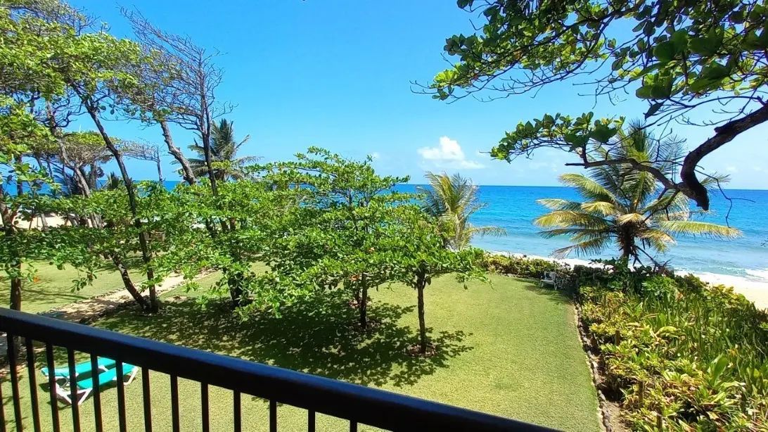 Квартира в Кабарете, Доминиканская Республика, 146 м² - фото 10