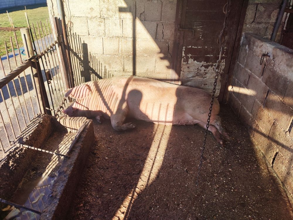 Дом в Никшиче, Черногория, 120 м² - фото 17