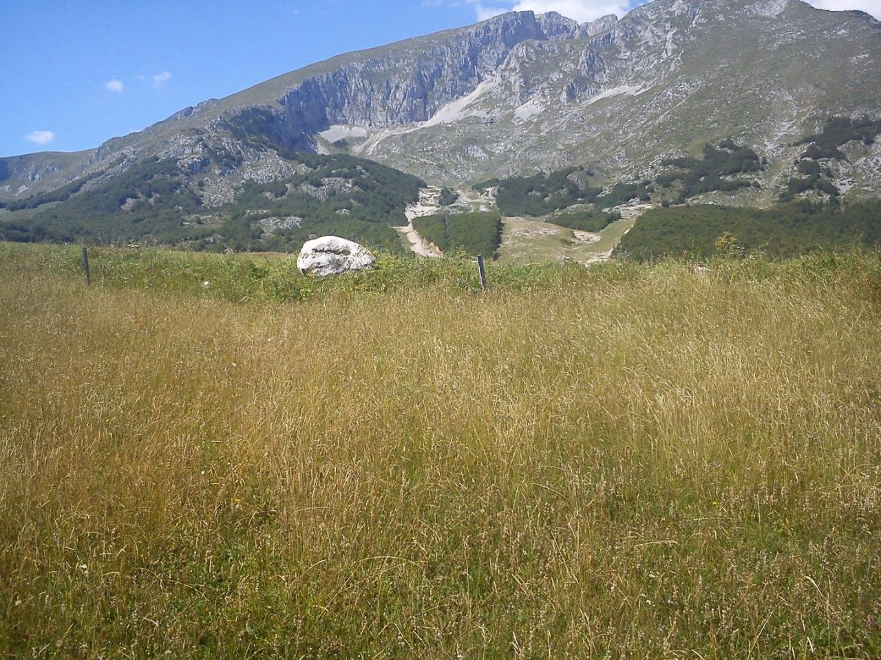 Земля в Жабляке, Черногория, 6 000 м2 - фото 1