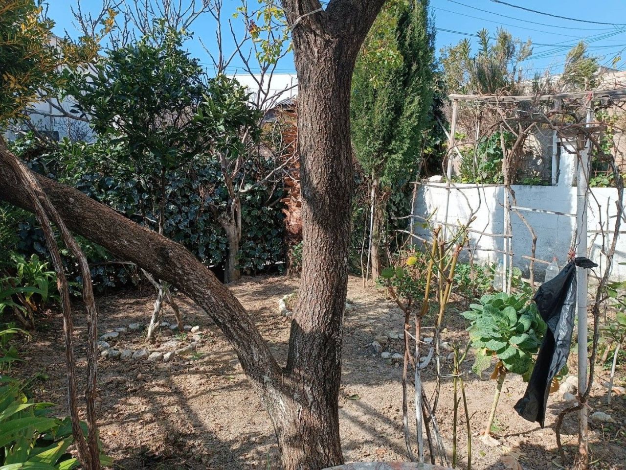 Дом в Шушани, Черногория, 160 м² - фото 4