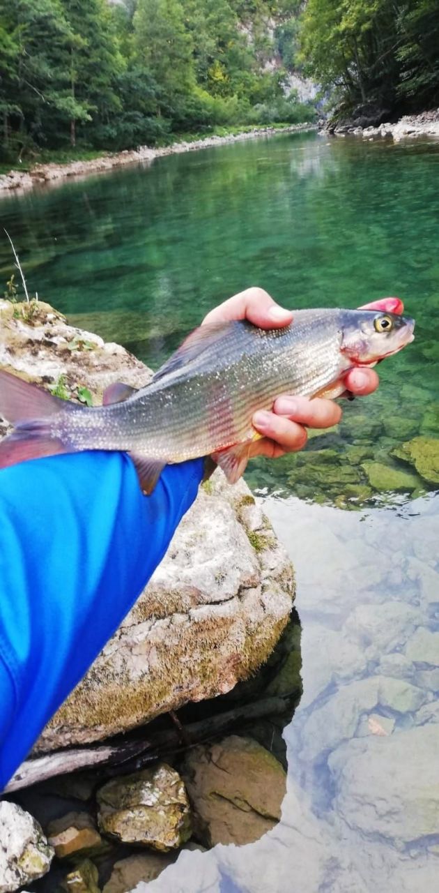 Дом в Колашине, Черногория, 100 м² - фото 12