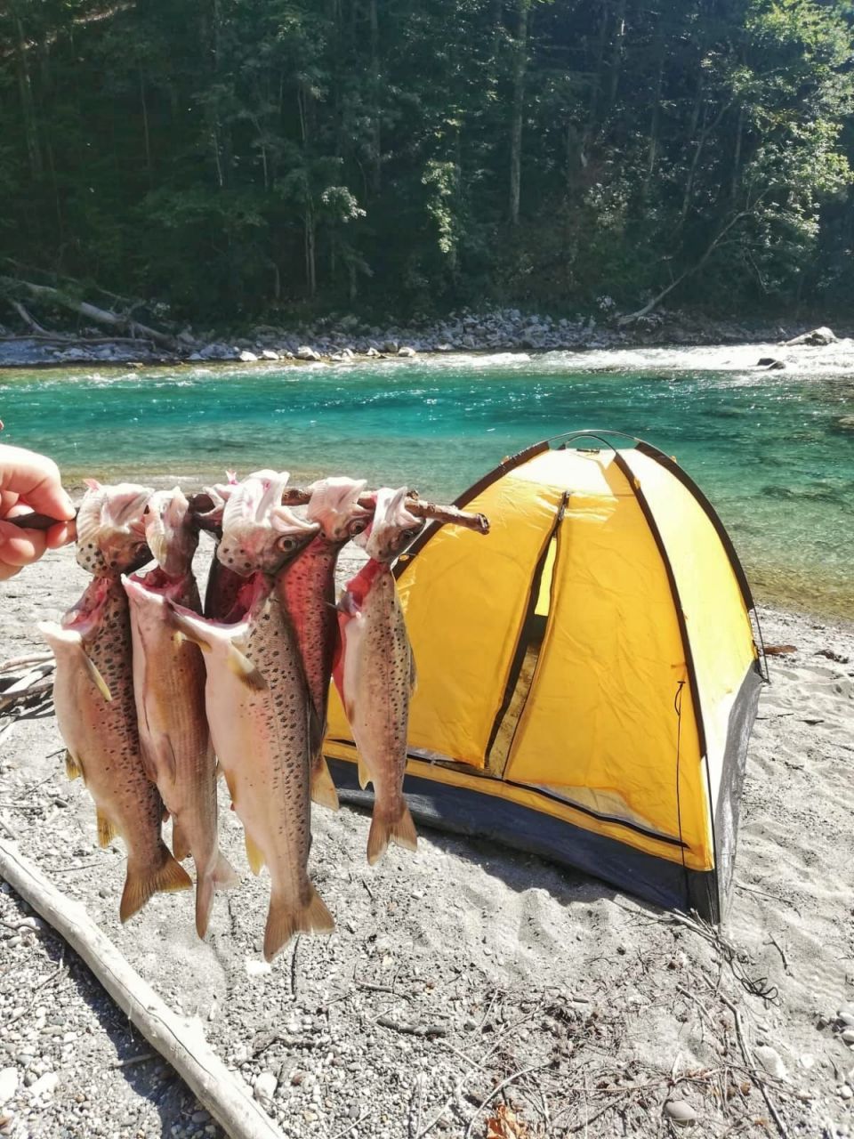 Земля в Колашине, Черногория, 10 000 м² - фото 14