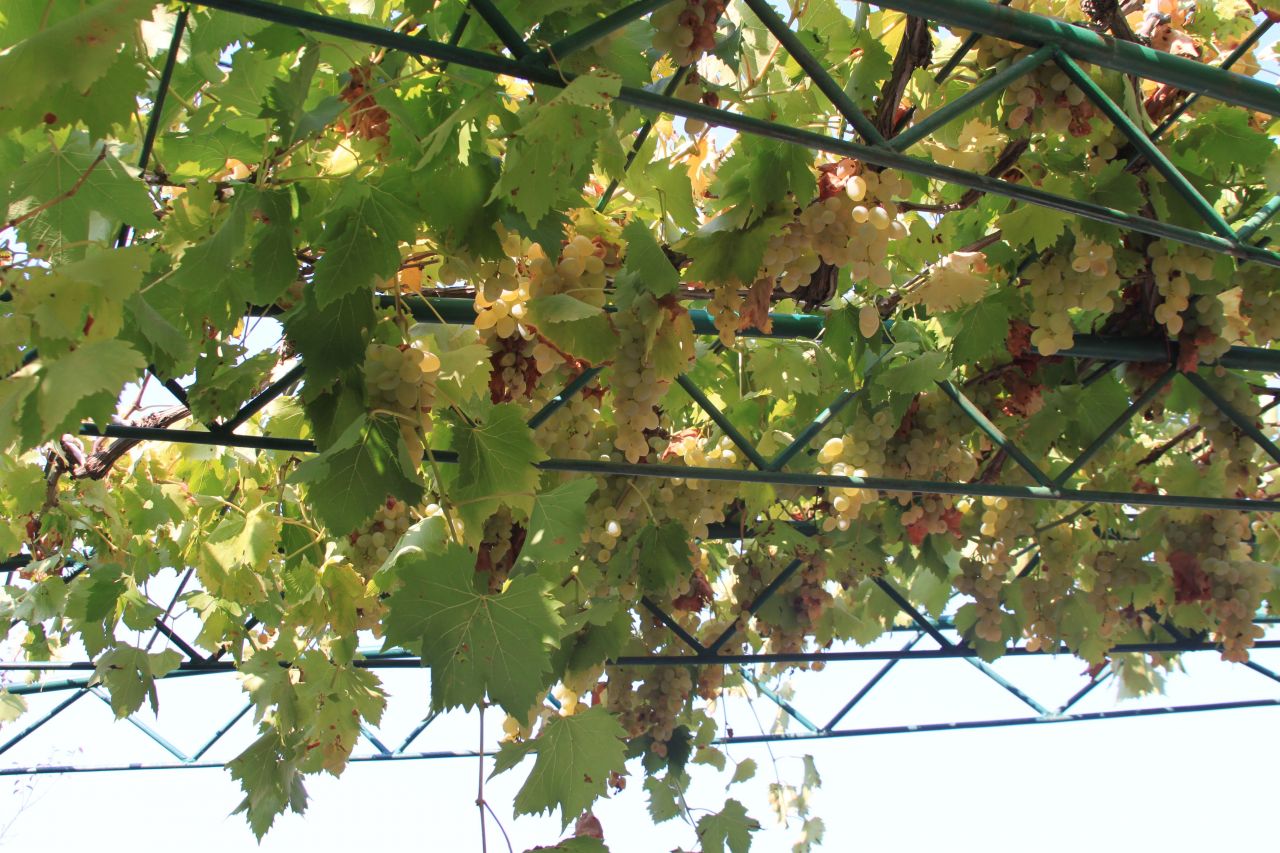 Дом в Сутоморе, Черногория, 160 м² - фото 12