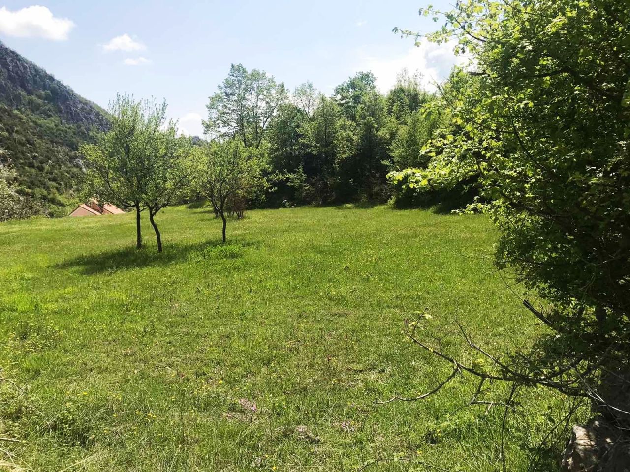 Земля в Даниловграде, Черногория, 6 826 м² - фото 2