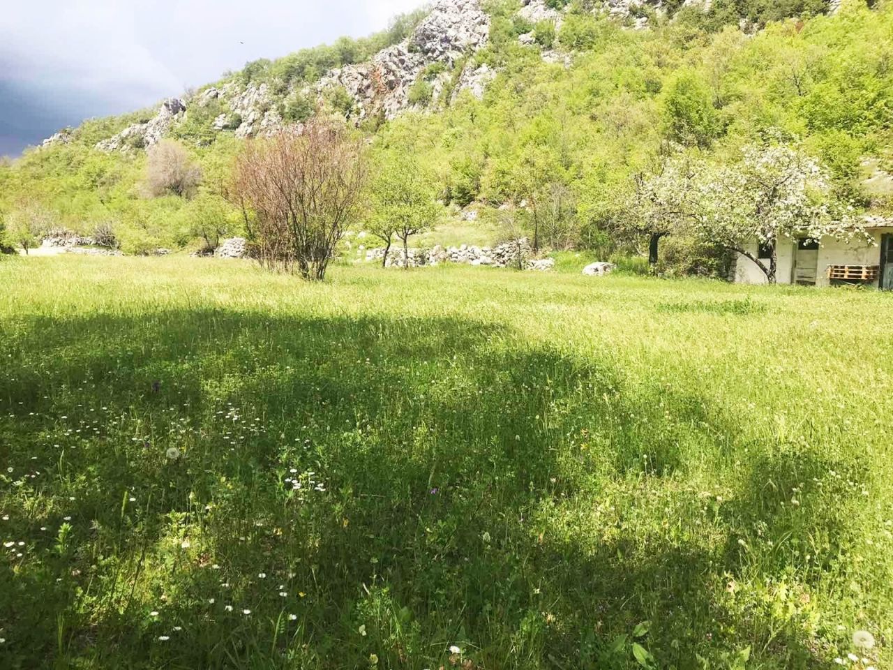 Земля в Даниловграде, Черногория, 6 826 м² - фото 3