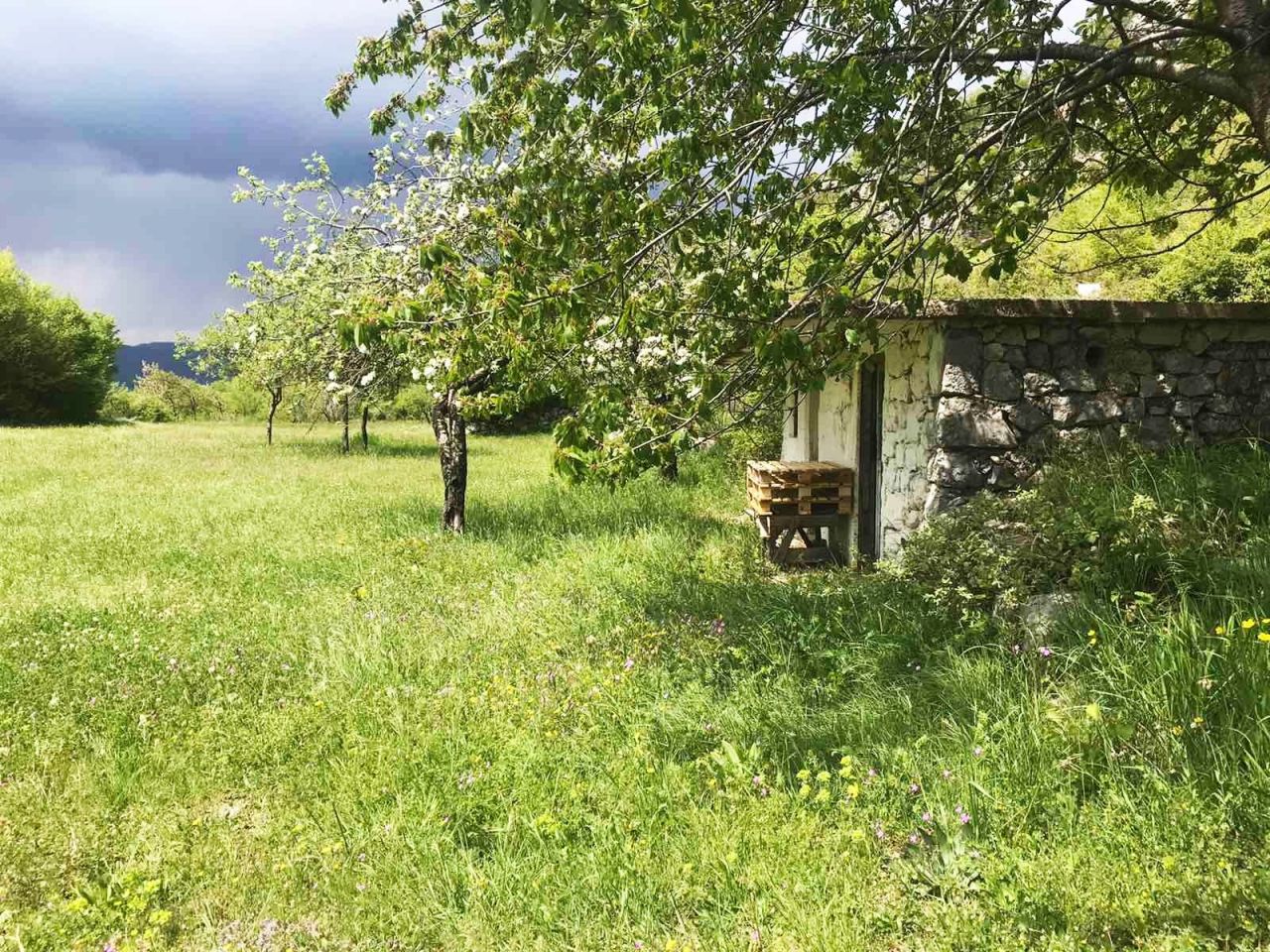 Земля в Даниловграде, Черногория, 6 826 м² - фото 6