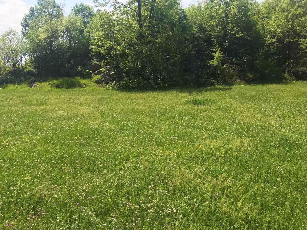 Земля в Даниловграде, Черногория, 6 826 м² - фото 9