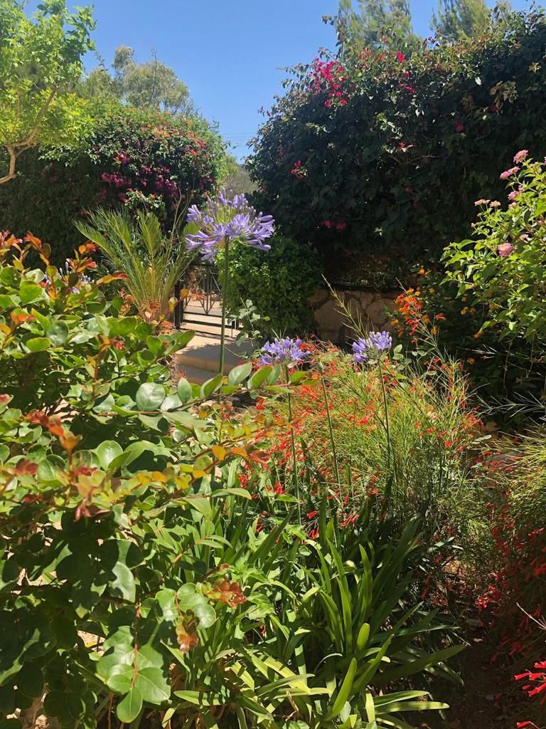 Вилла в Пафосе, Кипр, 170 м² - фото 2