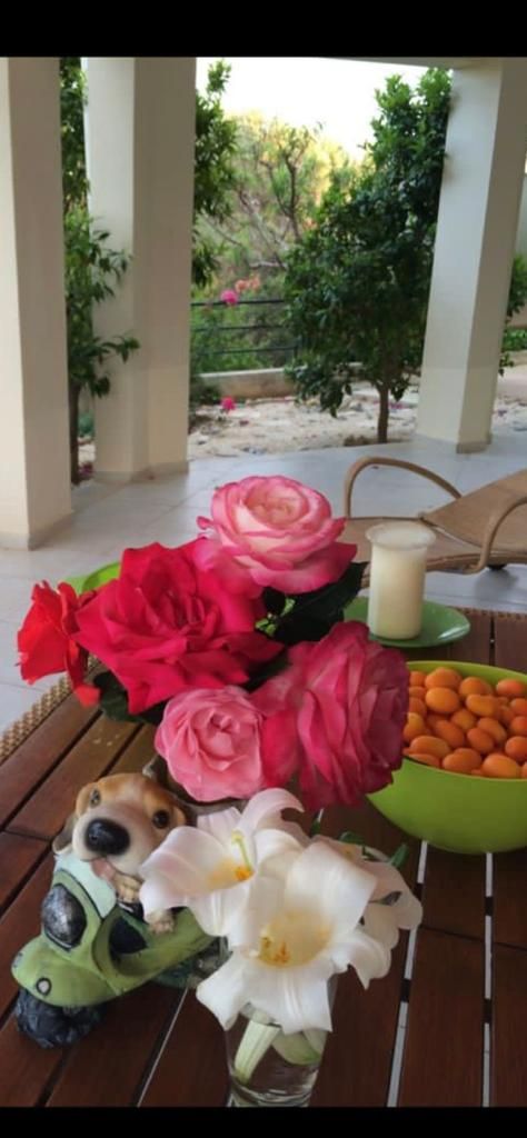 Вилла в Пафосе, Кипр, 170 м² - фото 4