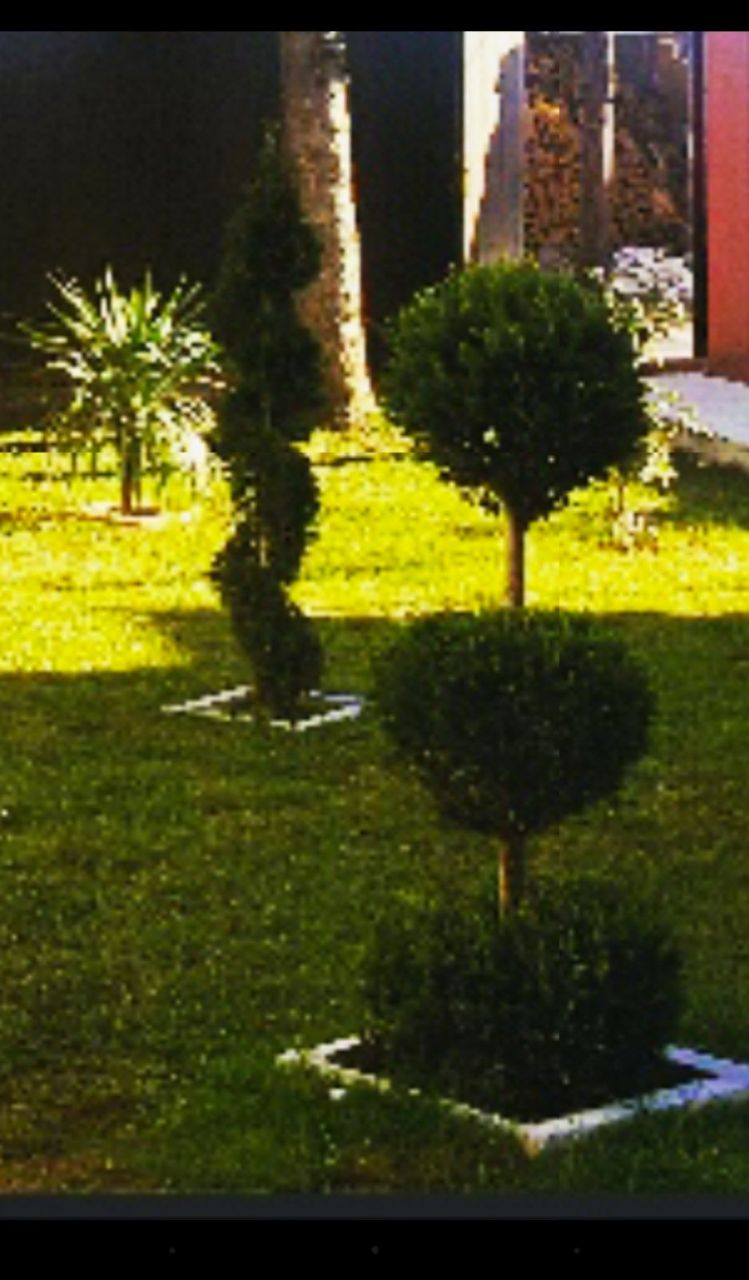 Дом в Никшиче, Черногория, 230 м² - фото 14