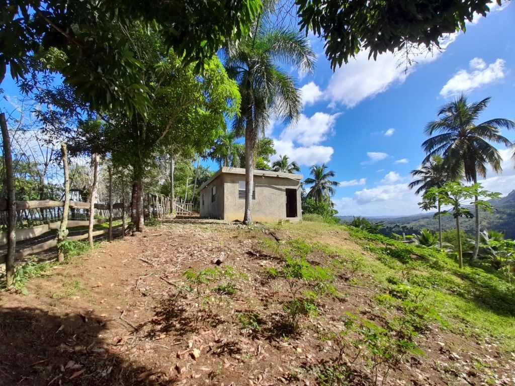 Земля в Гаспар Эрнандес, Доминиканская Республика, 17 000 м² - фото 3