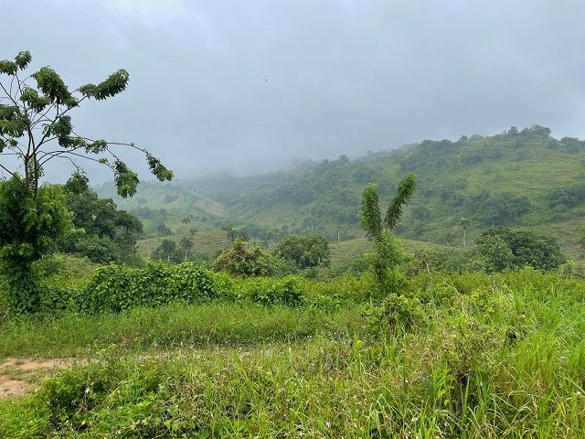 Земля в Гаспар Эрнандес, Доминиканская Республика, 400 м² - фото 5