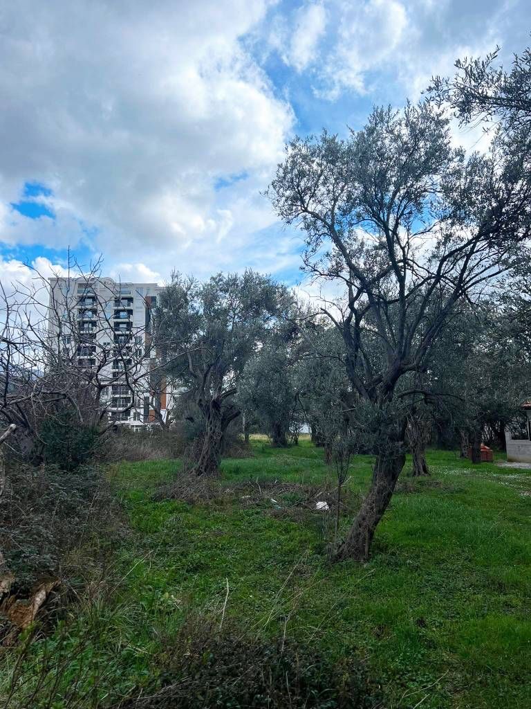 Земля в Баре, Черногория, 604 м² - фото 3