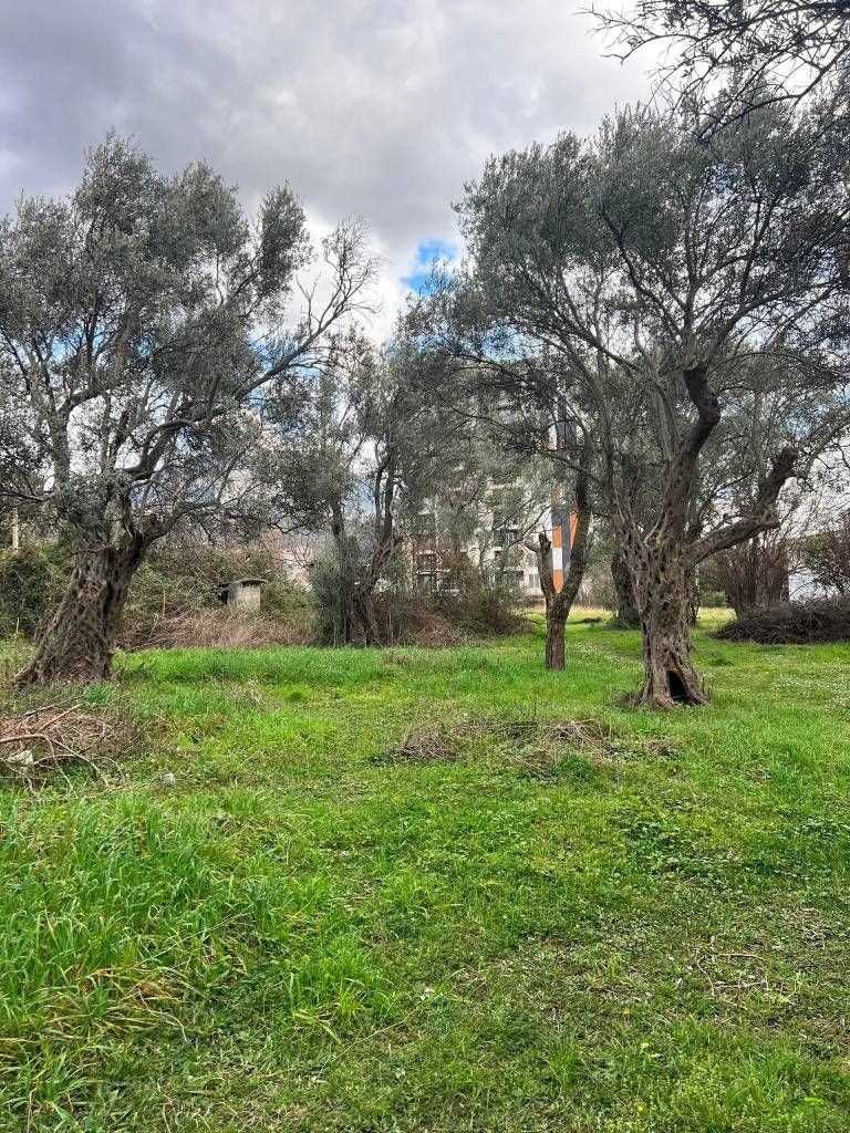 Земля в Баре, Черногория, 604 м² - фото 4