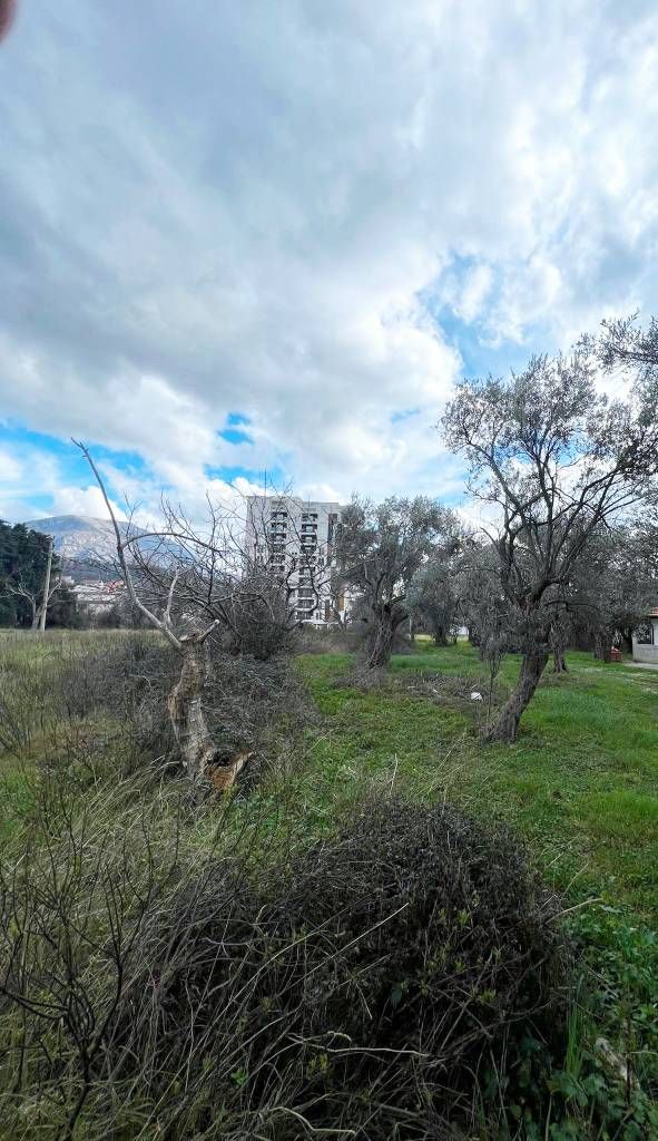 Земля в Баре, Черногория, 604 м² - фото 5