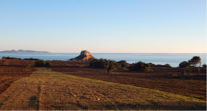 Земля на Пелопоннесе, Греция - фото 9