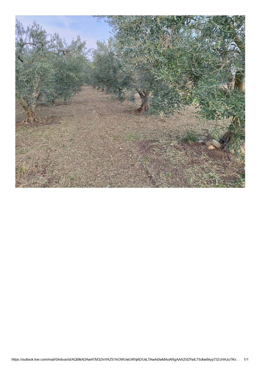 Земля на Халкидиках, Греция, 2 841 сот. - фото 3