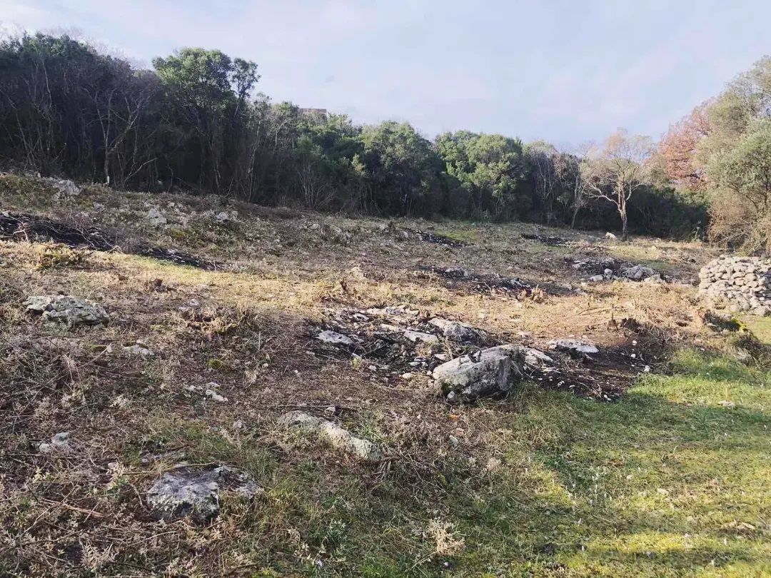 Земля в Добра Воде, Черногория, 1 000 м² - фото 3